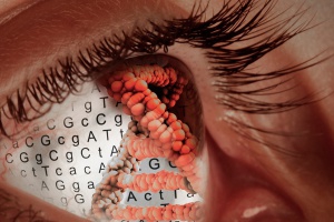 Curar la ceguera con terapia de edición de genes
