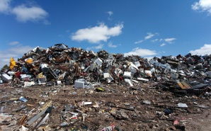 Leyes para la educación ambiental a largo plazo